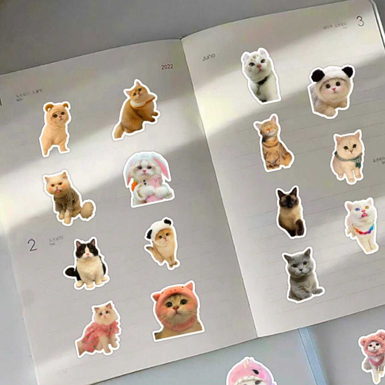 20pcs/Pack Lovely Cat Pattern Stickers For Suitcase, Phone Case, Laptop, Helmet And More Items Decoration