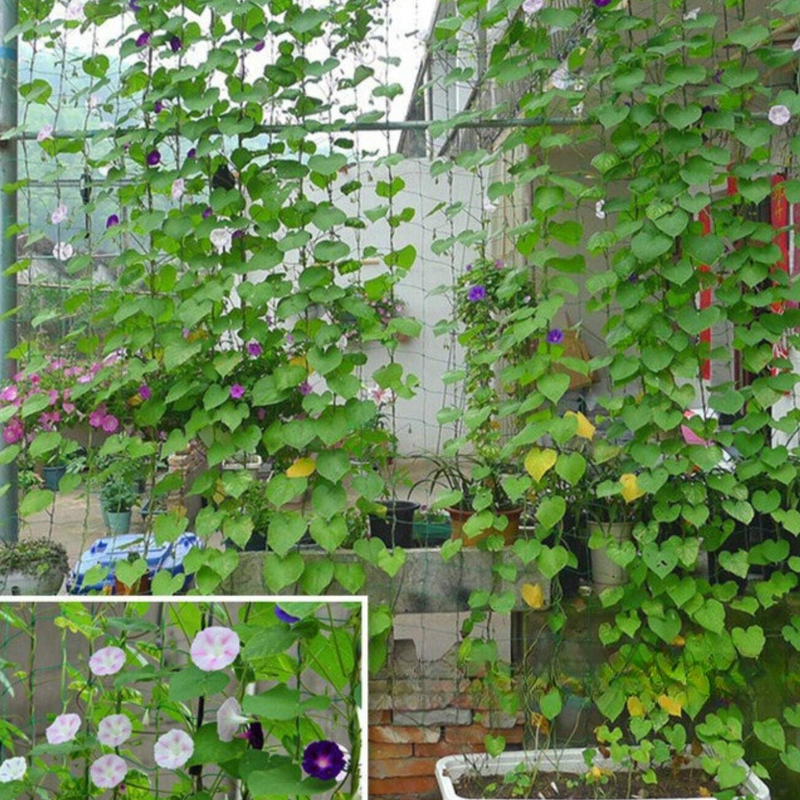 1pc Gardening Plant Climbing Frame Trellis For Climbing Plants, Vines, Cucumbers, Roses