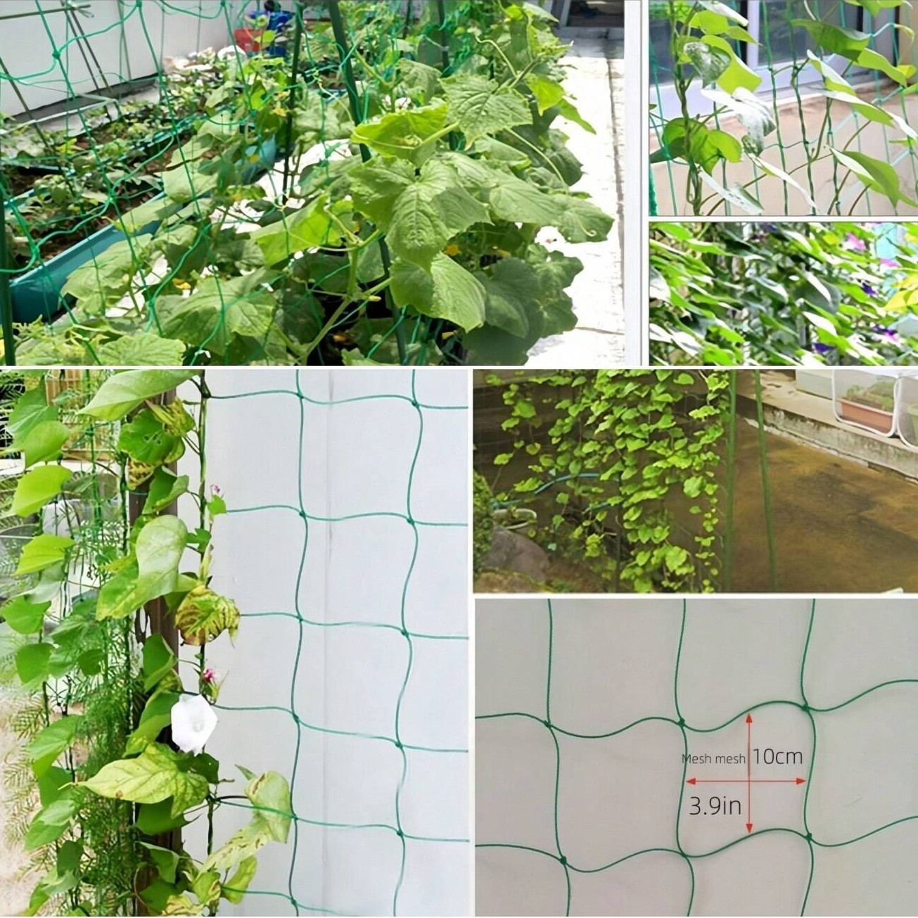 1pc Gardening Plant Climbing Frame Trellis For Climbing Plants, Vines, Cucumbers, Roses