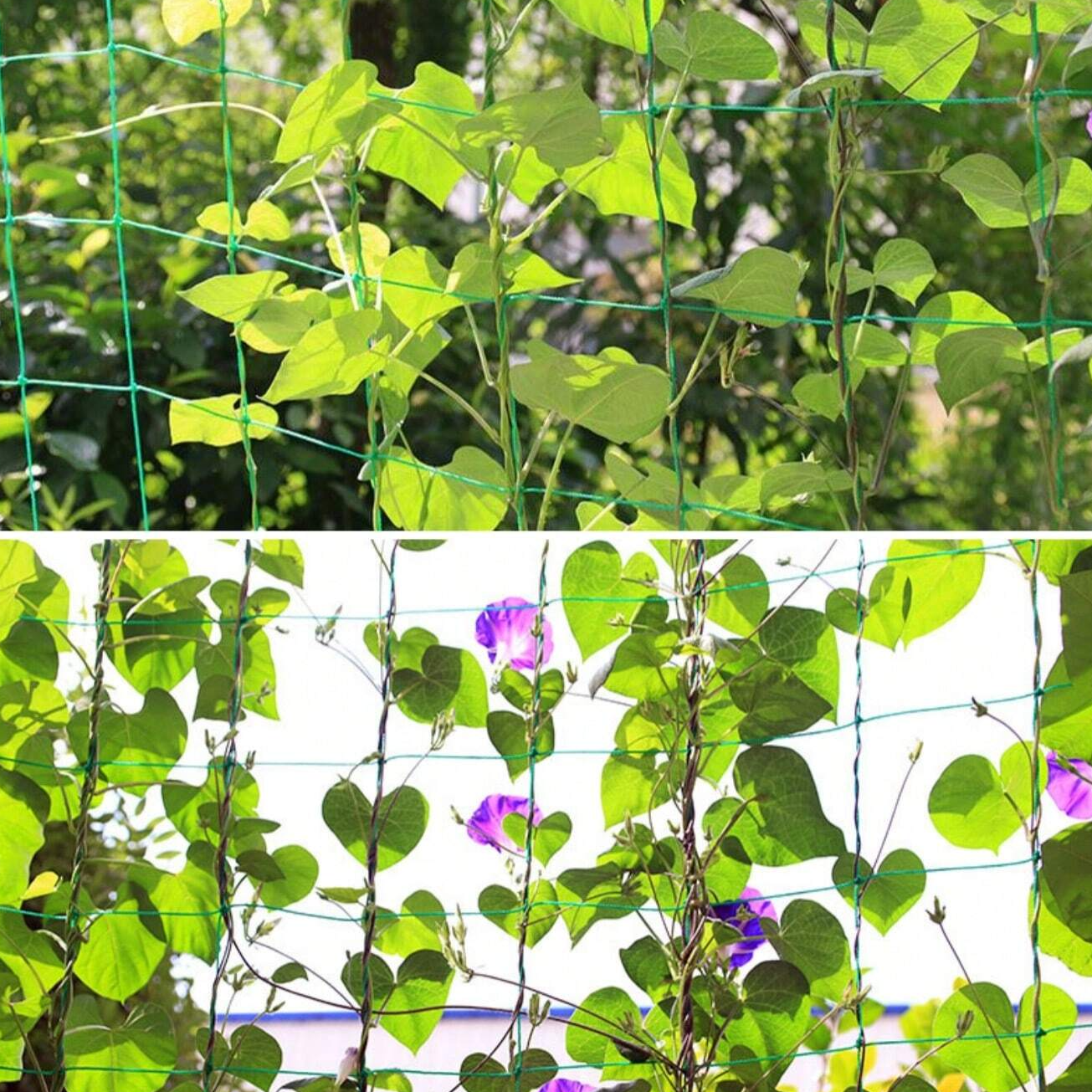 1pc Gardening Plant Climbing Frame Trellis For Climbing Plants, Vines, Cucumbers, Roses