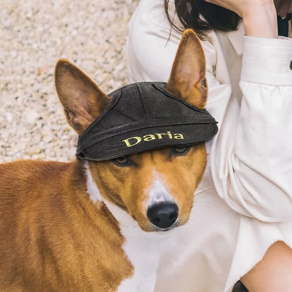 Personalized Multiple Sizes Dog Sun Hat Baseball Cap with Embroidered Nam