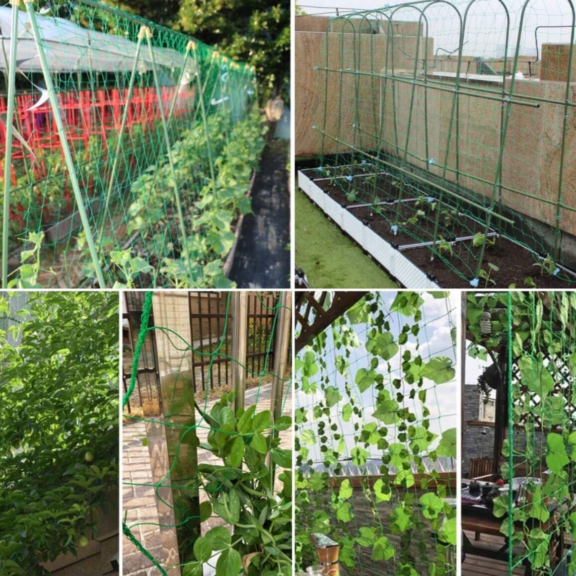 1pc Gardening Plant Climbing Frame Trellis For Climbing Plants, Vines, Cucumbers, Roses