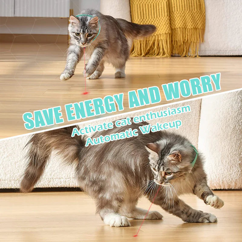 🐾Laser Collar Cat Teaser Toy