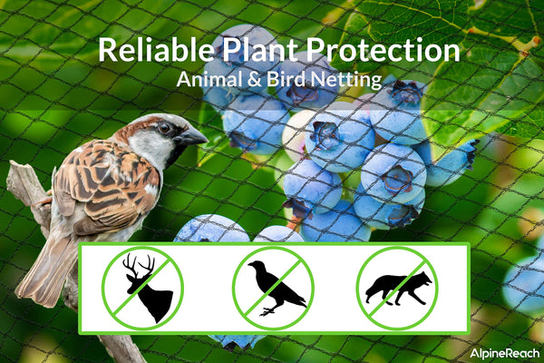 Garden Netting ，Heavy Duty Bird Net, Deer, Plant Protection
