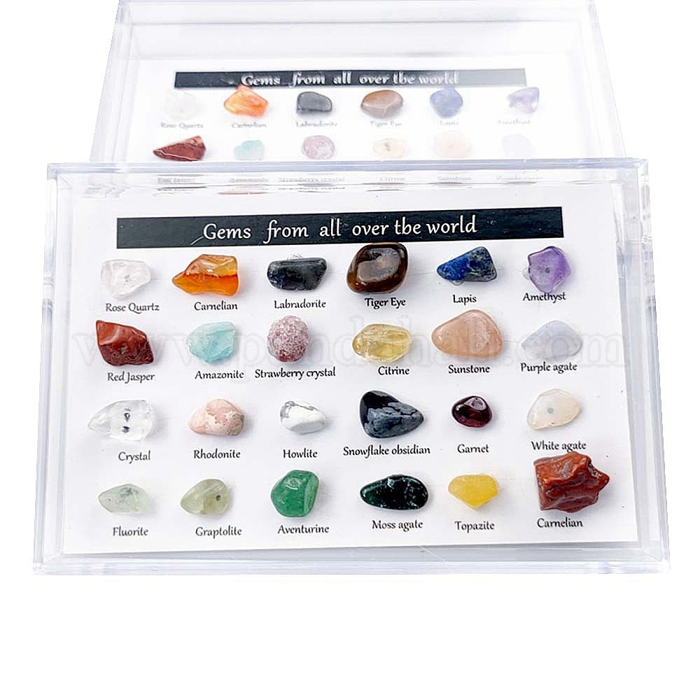 Mineral Rock Collection Kit Fun Attractive Geological Educational Kit