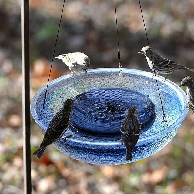 Hanging Custom Bubbling Solar Water Fountain