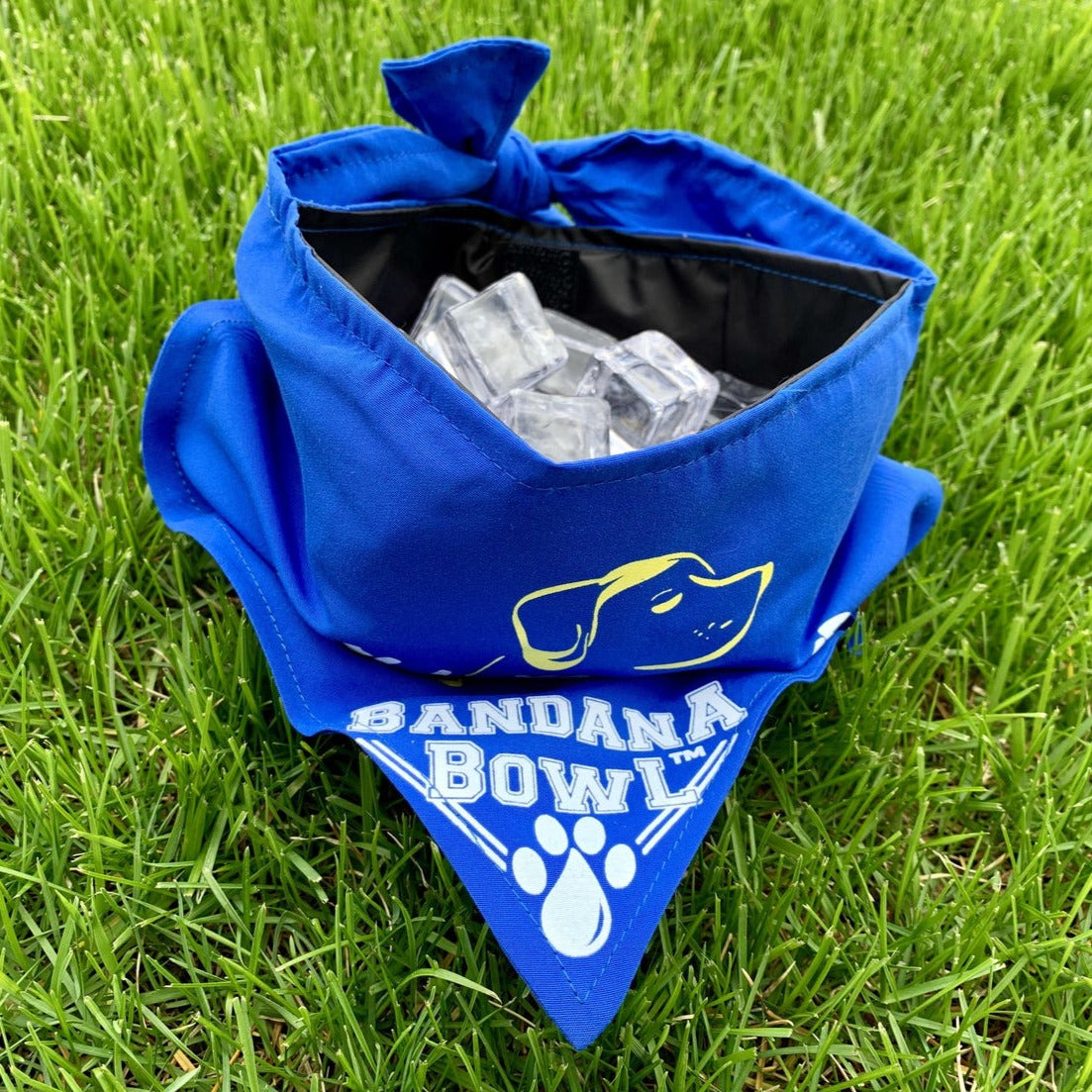 Bandana Bow, Portable Water Bowl