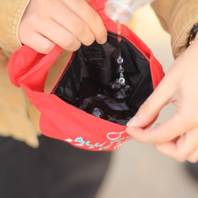 Bandana Bow, Portable Water Bowl