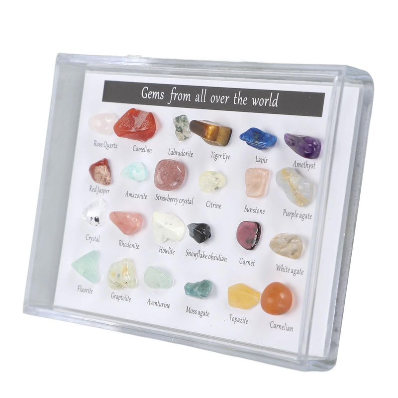 Mineral Rock Collection Kit Fun Attractive Geological Educational Kit