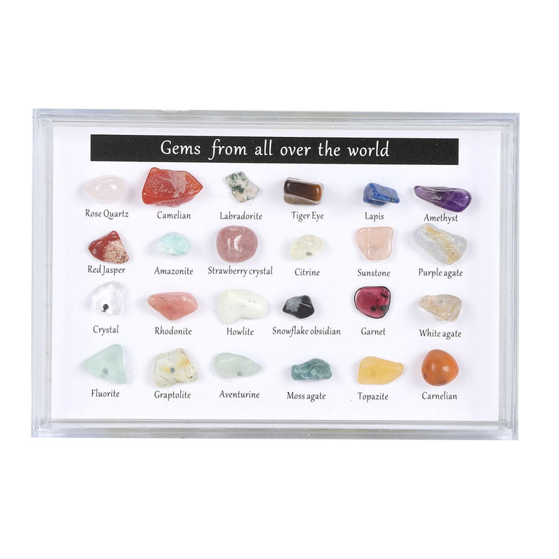 Mineral Rock Collection Kit Fun Attractive Geological Educational Kit