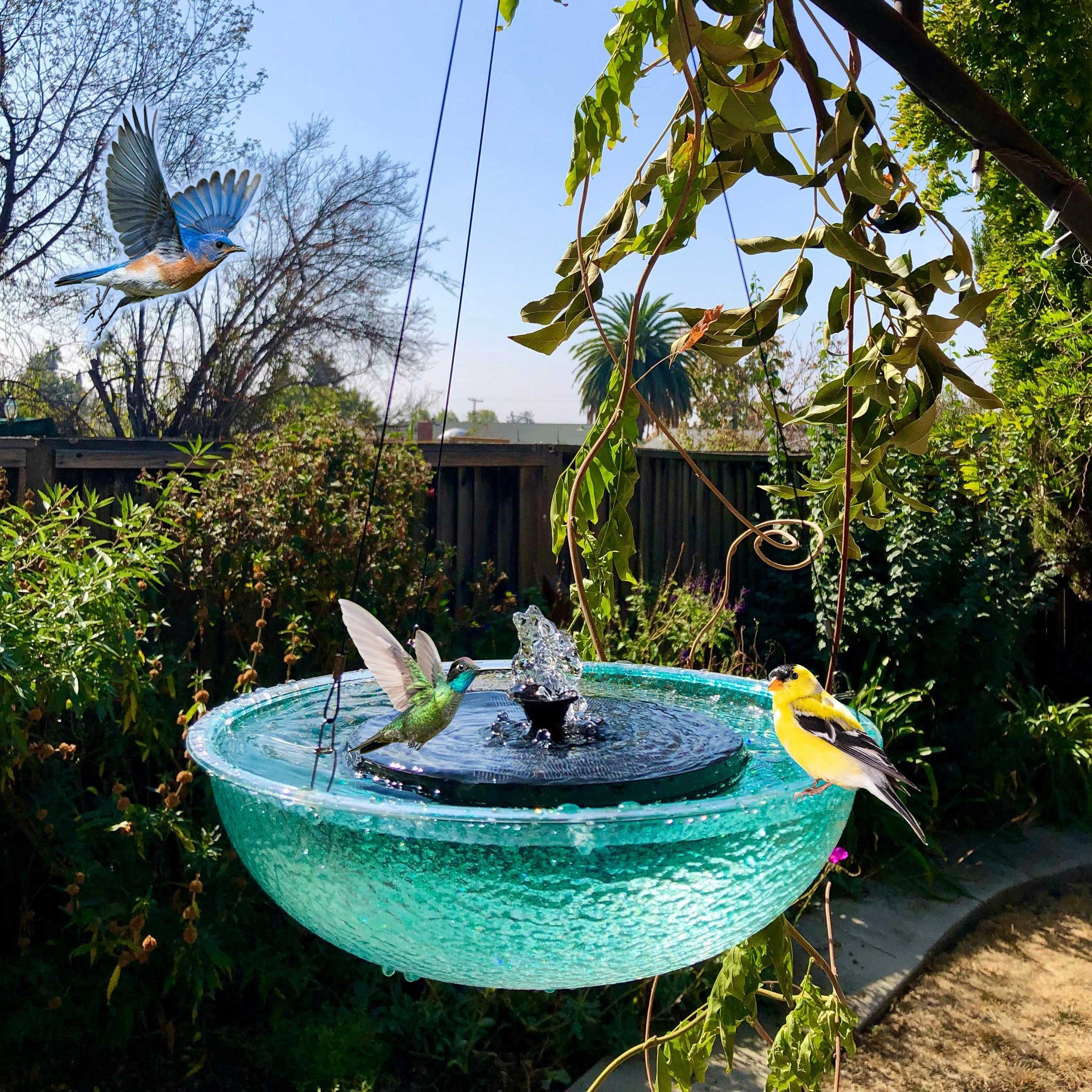 Hanging Custom Bubbling Solar Water Fountain