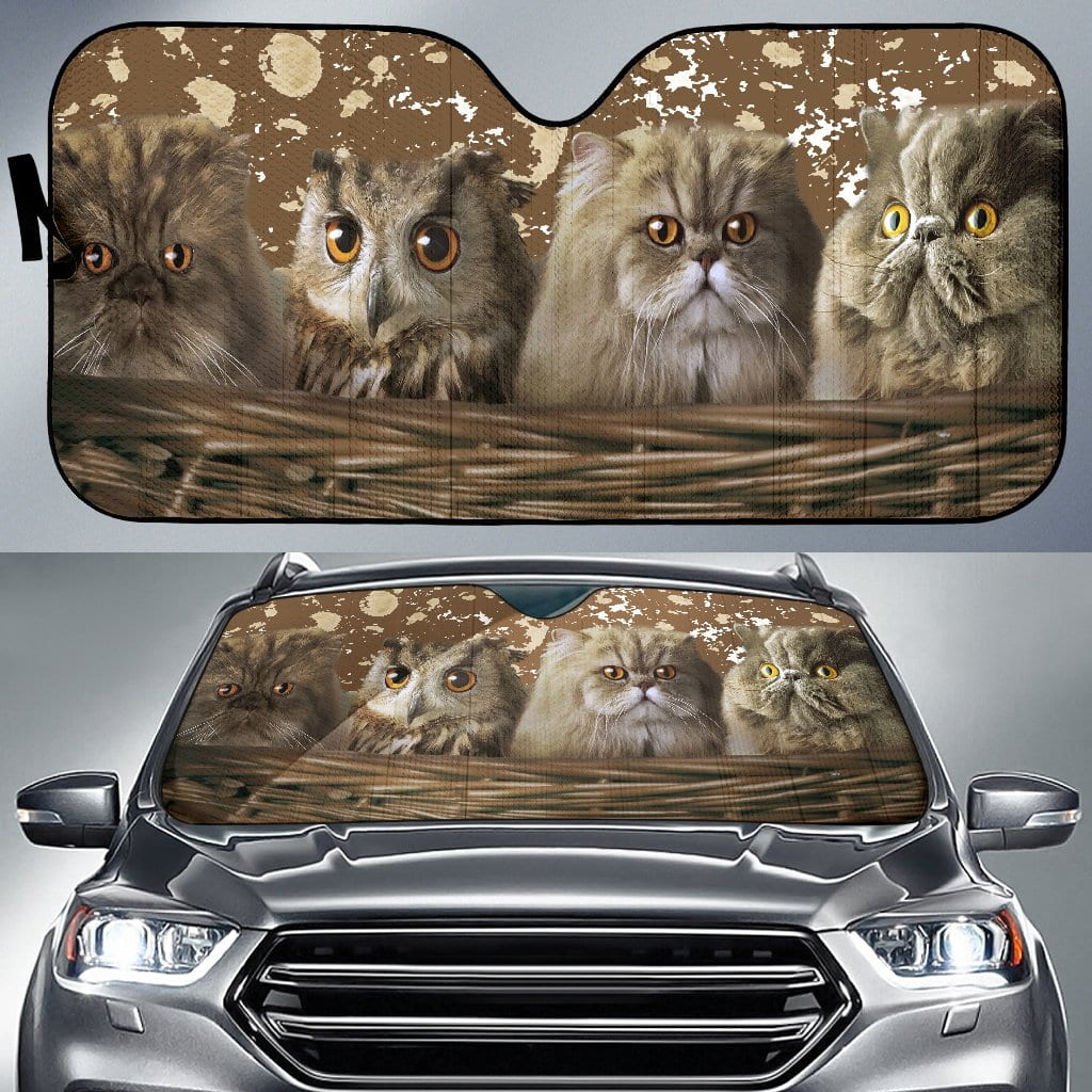 CUSTOM SUN SHADES