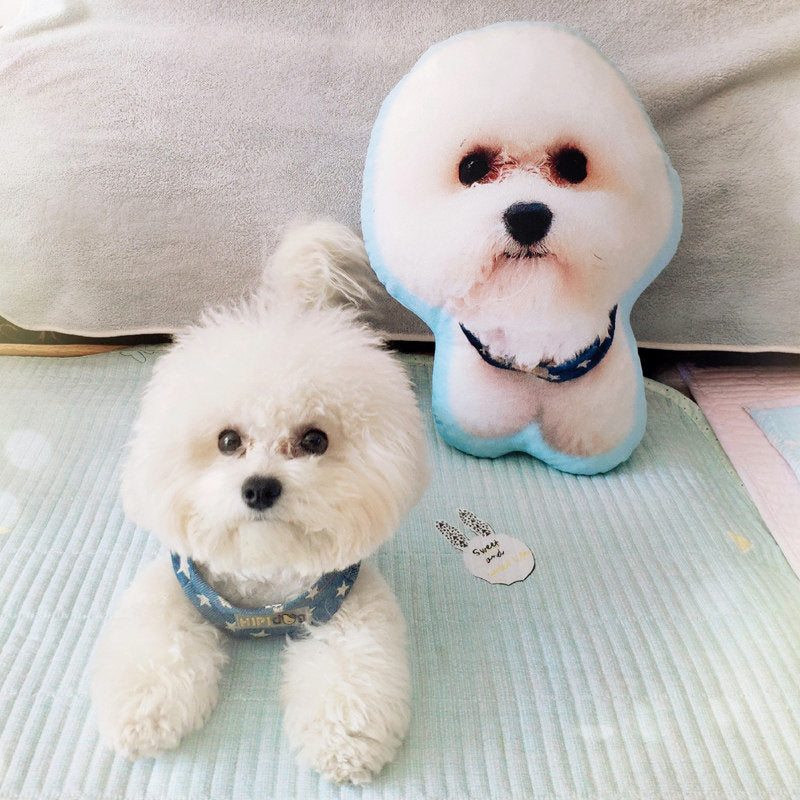 Photo Customization DIY dog Cushion Pet Plush Toys