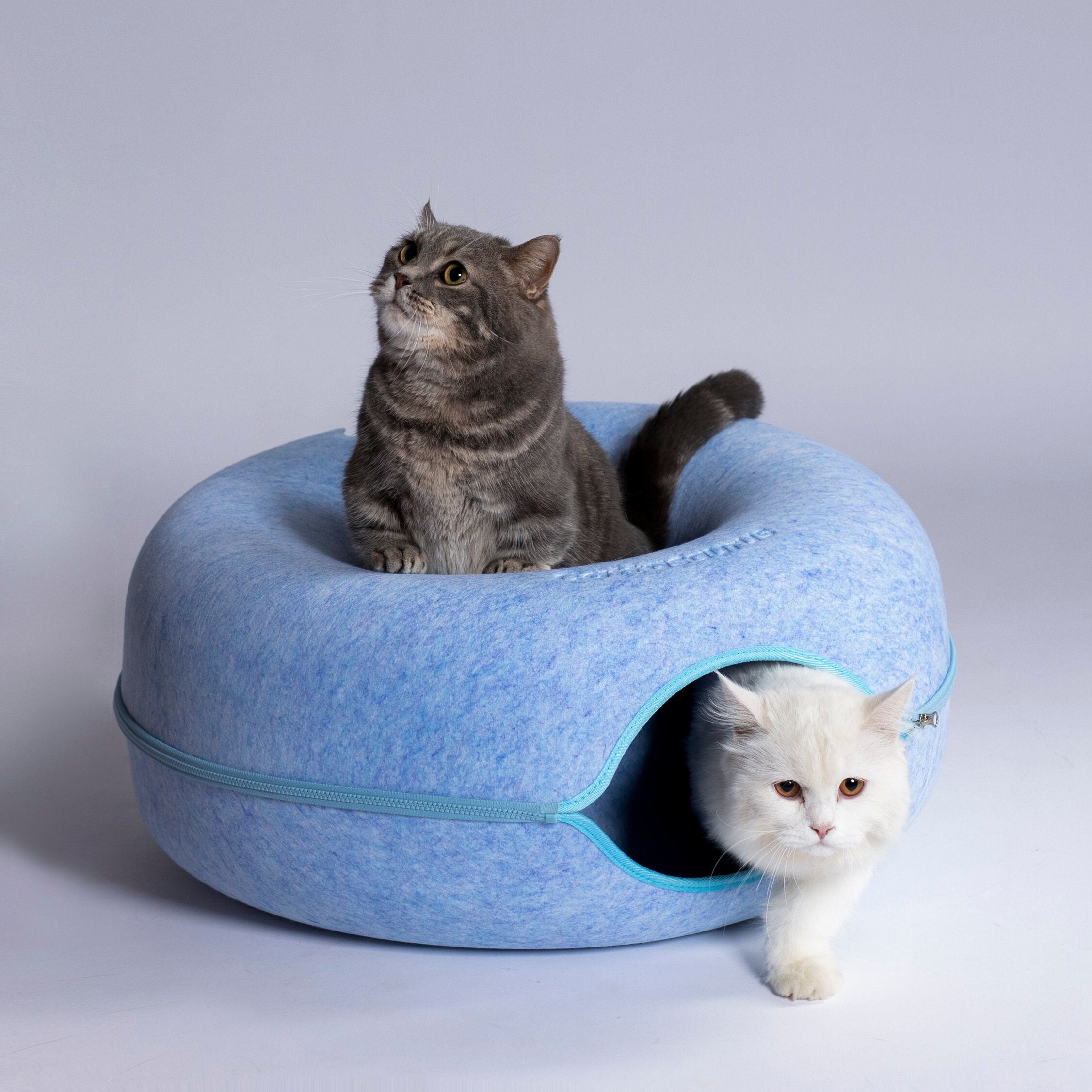 CATTASAURUS Peekaboo Cat Cave for Large Cats & Multiple Cats,Large Donut Cat Bed for Cats up to 30lbs