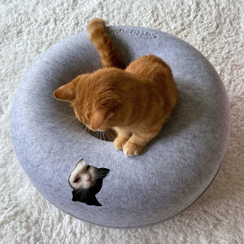CATTASAURUS Peekaboo Cat Cave for Large Cats & Multiple Cats,Large Donut Cat Bed for Cats up to 30lbs