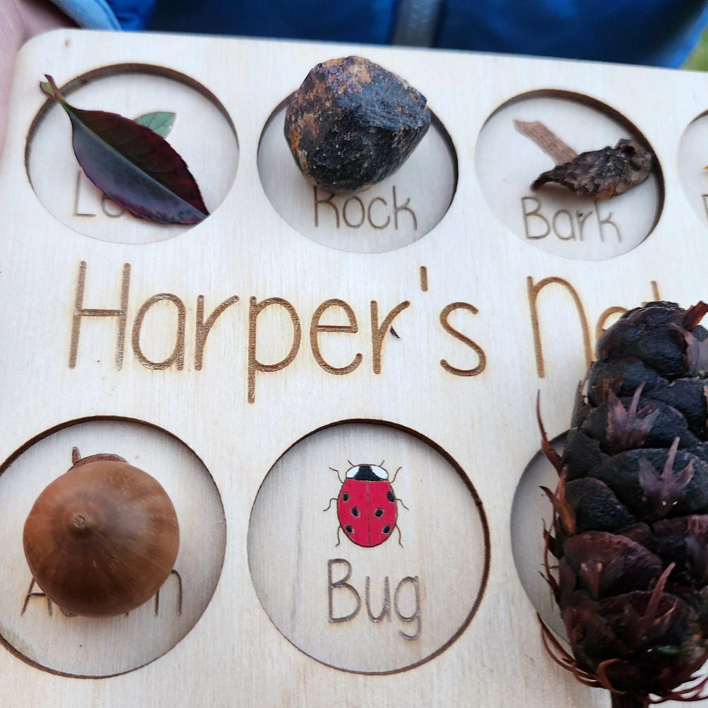 Nature Hunt Board Montessori Scavenger Hunt Personalized Nature Scavenger Hunt Tray