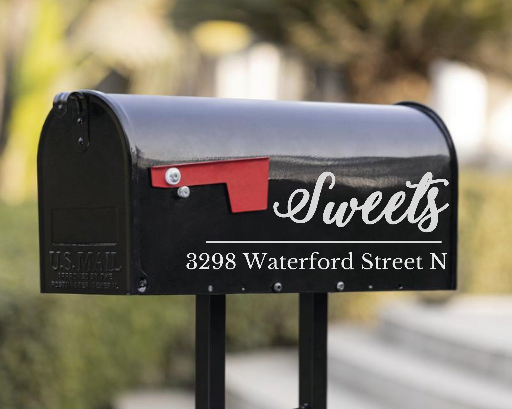 Permanent Laser Engraved Personalized Mailbox