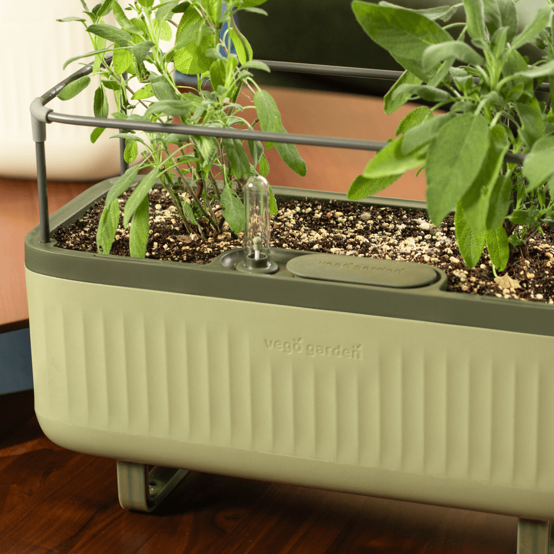 Self-Watering Herb Planter Box with Trellis