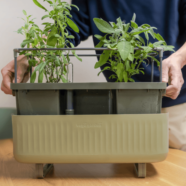 Self-Watering Herb Planter Box with Trellis