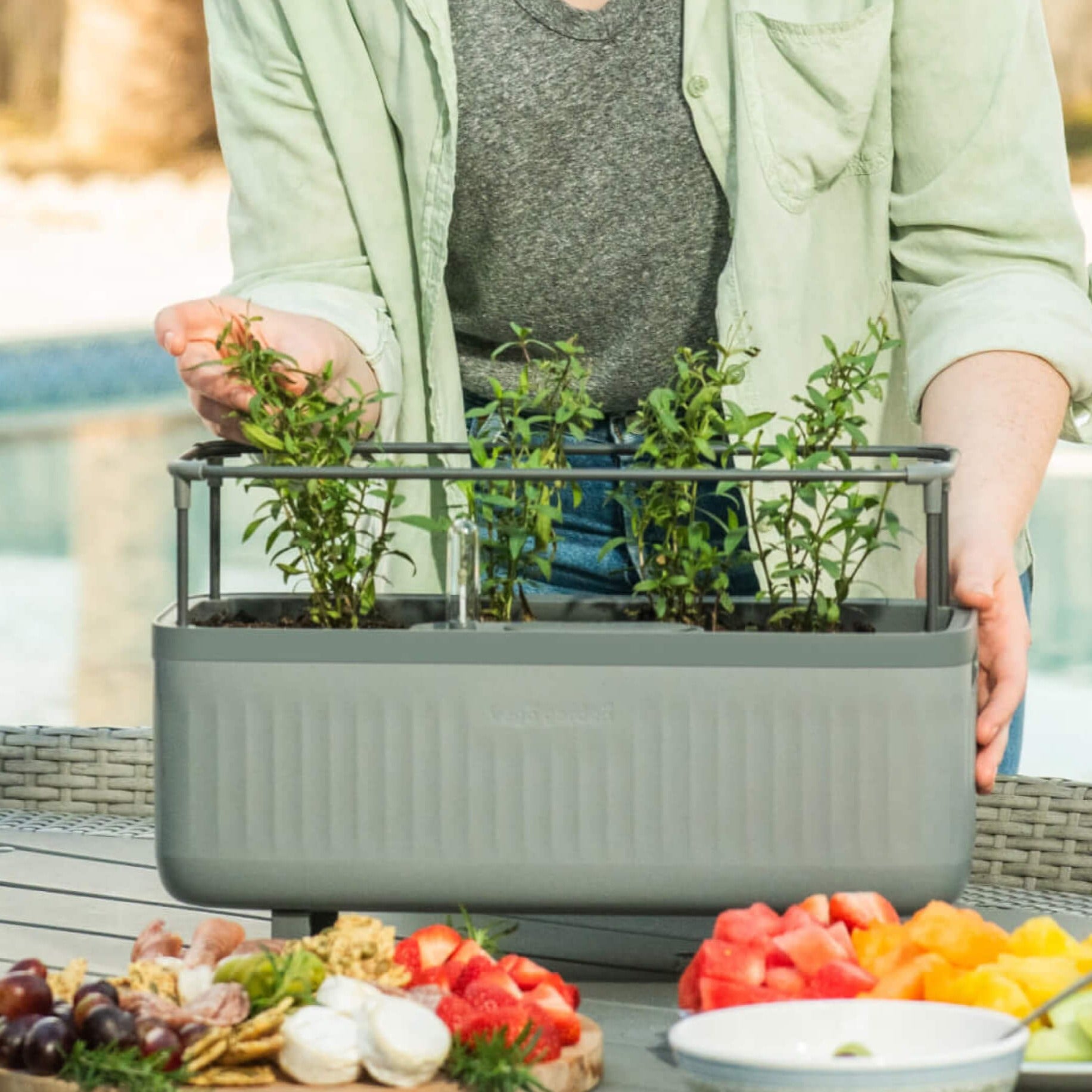 Self-Watering Herb Planter Box with Trellis